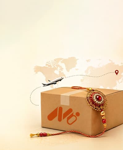 Manvi International Courier Mobile